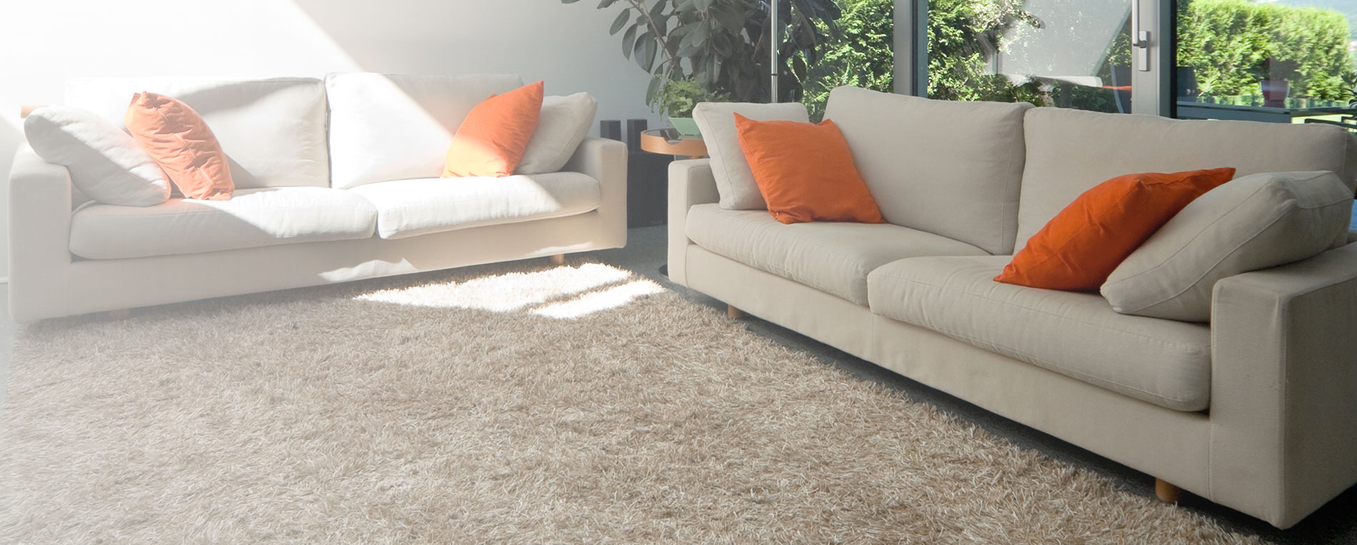 How Can You Tell If Your Carpet Cleaning Company Is Using Eco Friendly Products