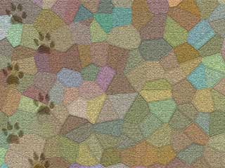Removing Pet Stains from your Carpet | Canyon Country Carpet Cleaning Removing Pet Stains from your Carpet | Canyon Country Carpet Cleaning